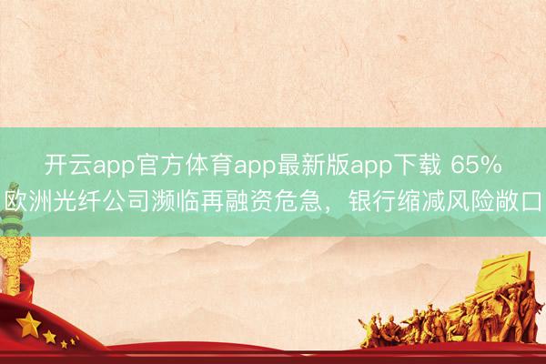 开云app官方体育app最新版app下载 65%欧洲光纤公司濒临再融资危急，银行缩减风险敞口