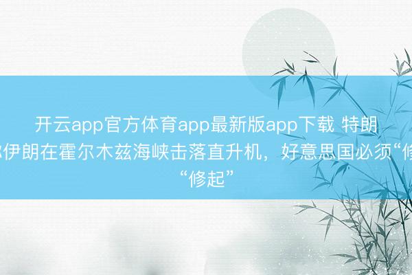 开云app官方体育app最新版app下载 特朗普称伊朗在霍尔木兹海峡击落直升机，好意思国必须“修起”