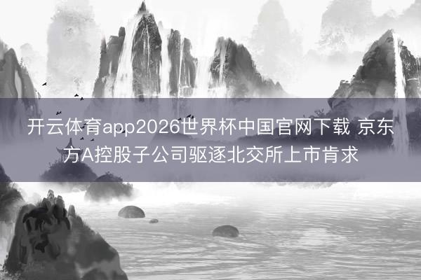 开云体育app2026世界杯中国官网下载 京东方A控股子公司驱逐北交所上市肯求