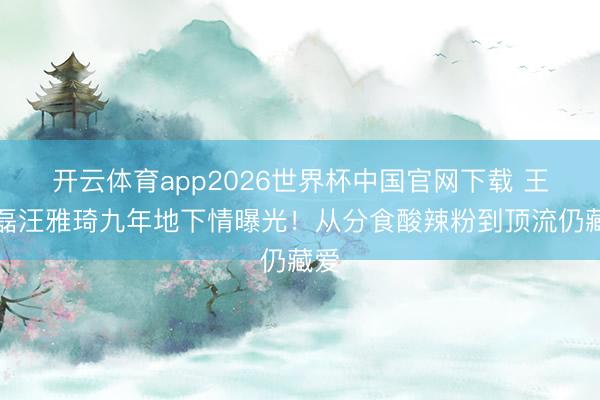 开云体育app2026世界杯中国官网下载 王译磊汪雅琦九年地下情曝光！从分食酸辣粉到顶流仍藏爱